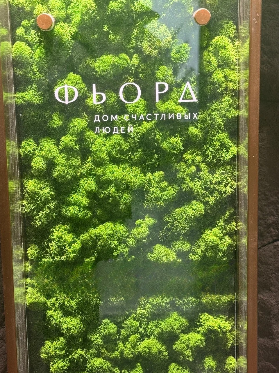 Квартира, Владивосток