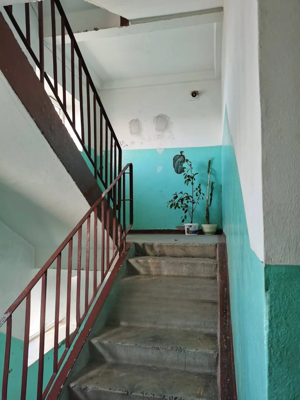 Квартира, Владивосток