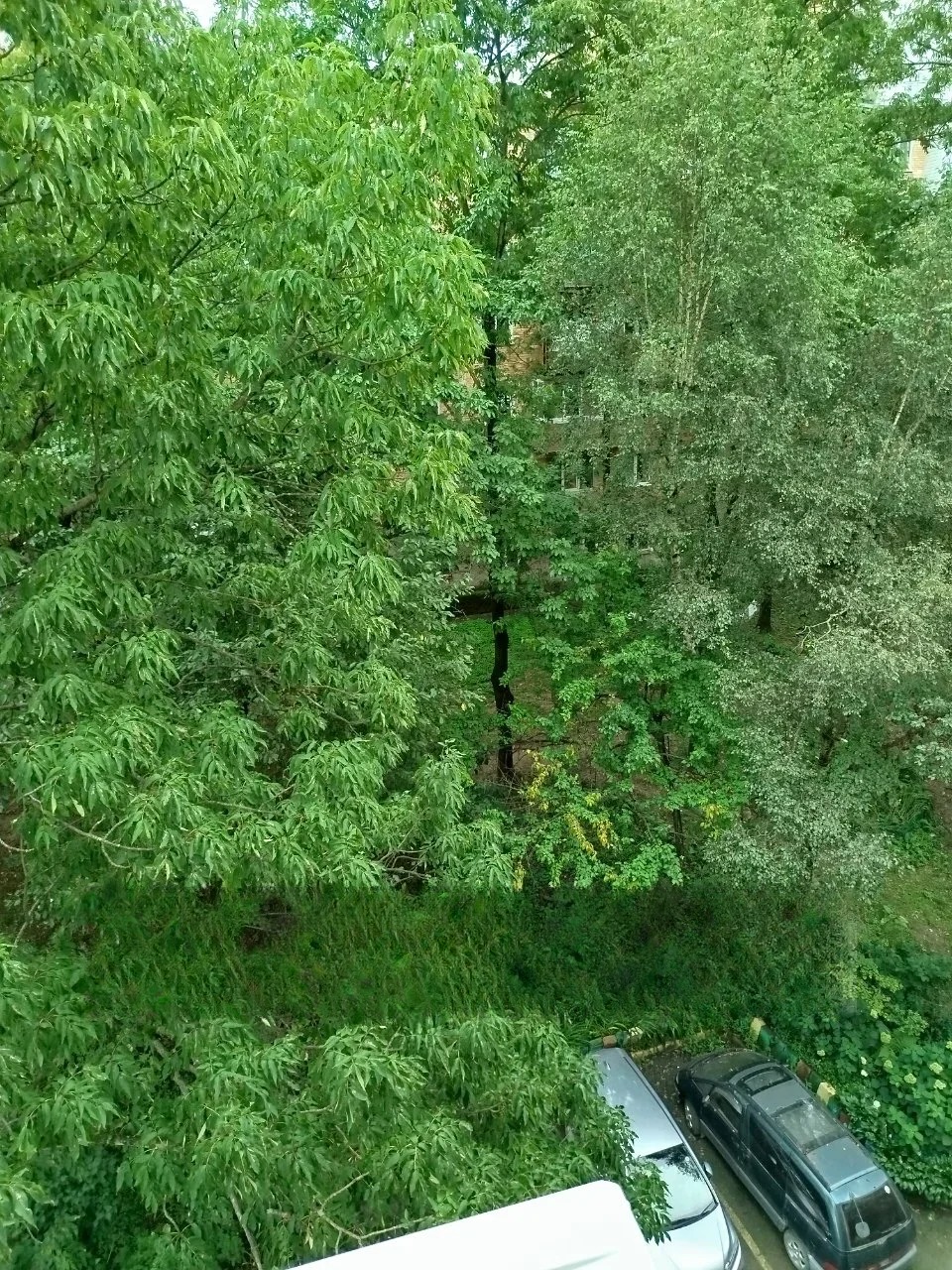 Квартира, Владивосток