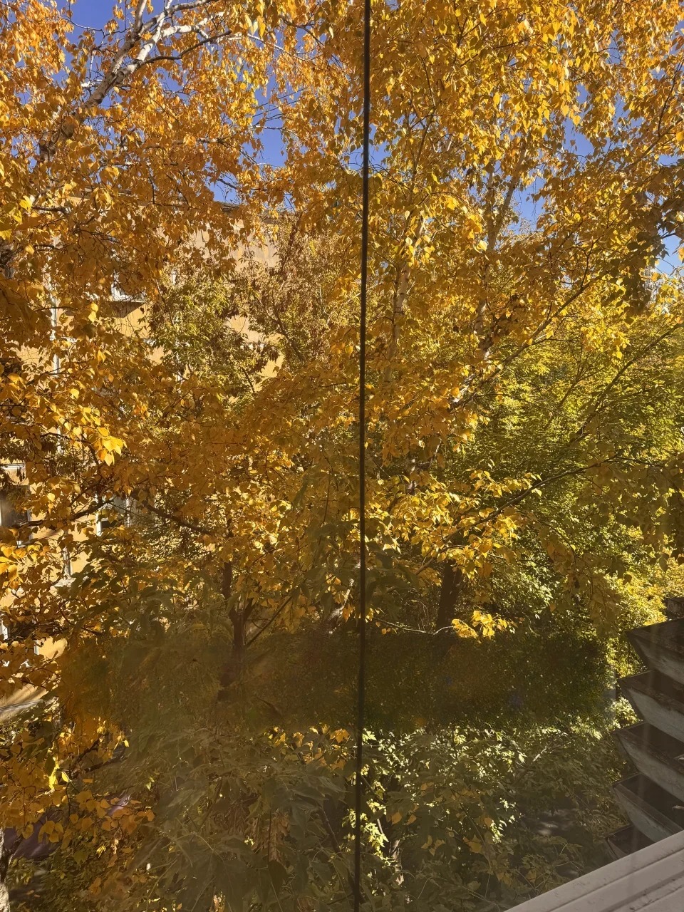 Квартира, Хабаровск