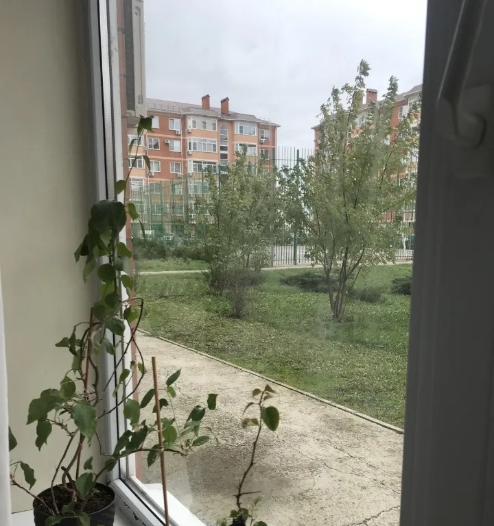 Квартира, Краснодар