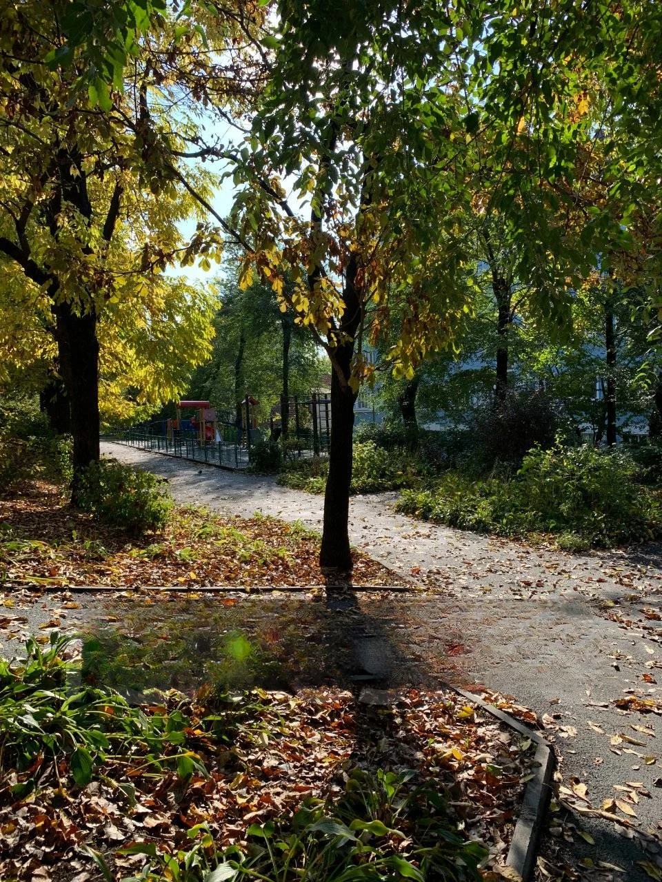 Квартира, Владивосток