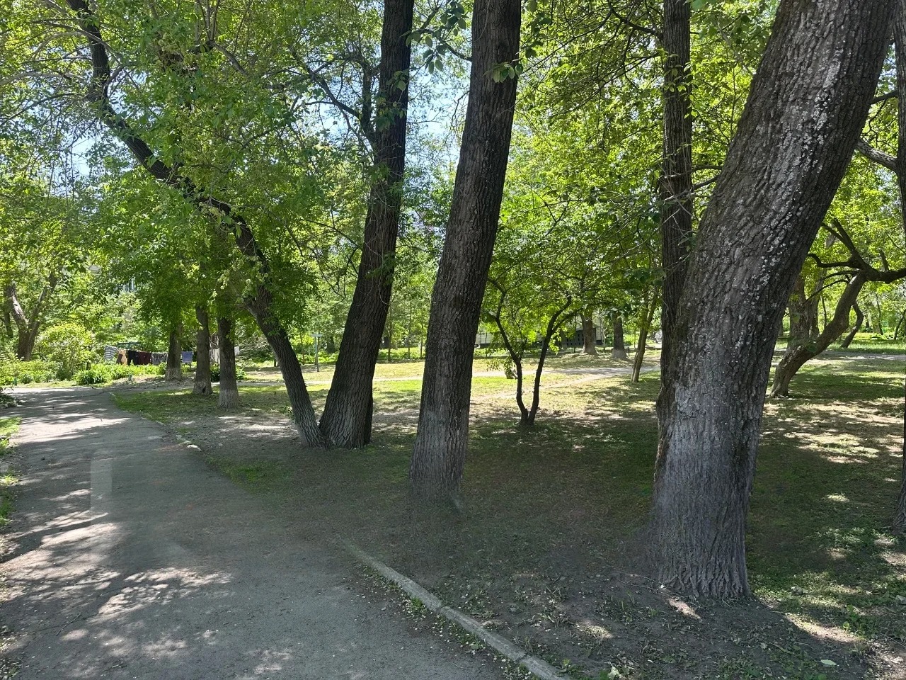 Квартира, Владивосток