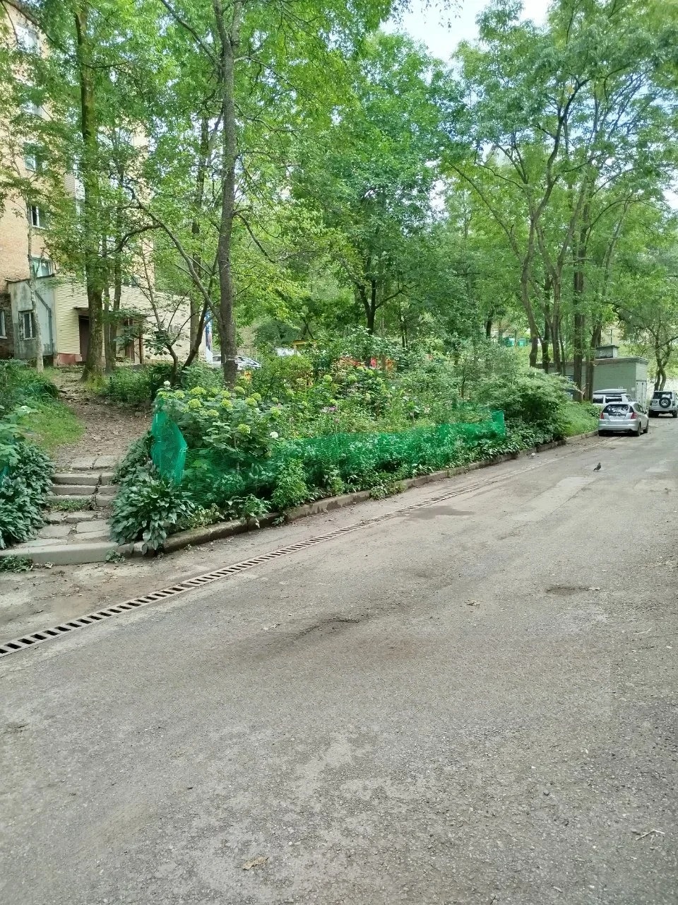 Квартира, Владивосток