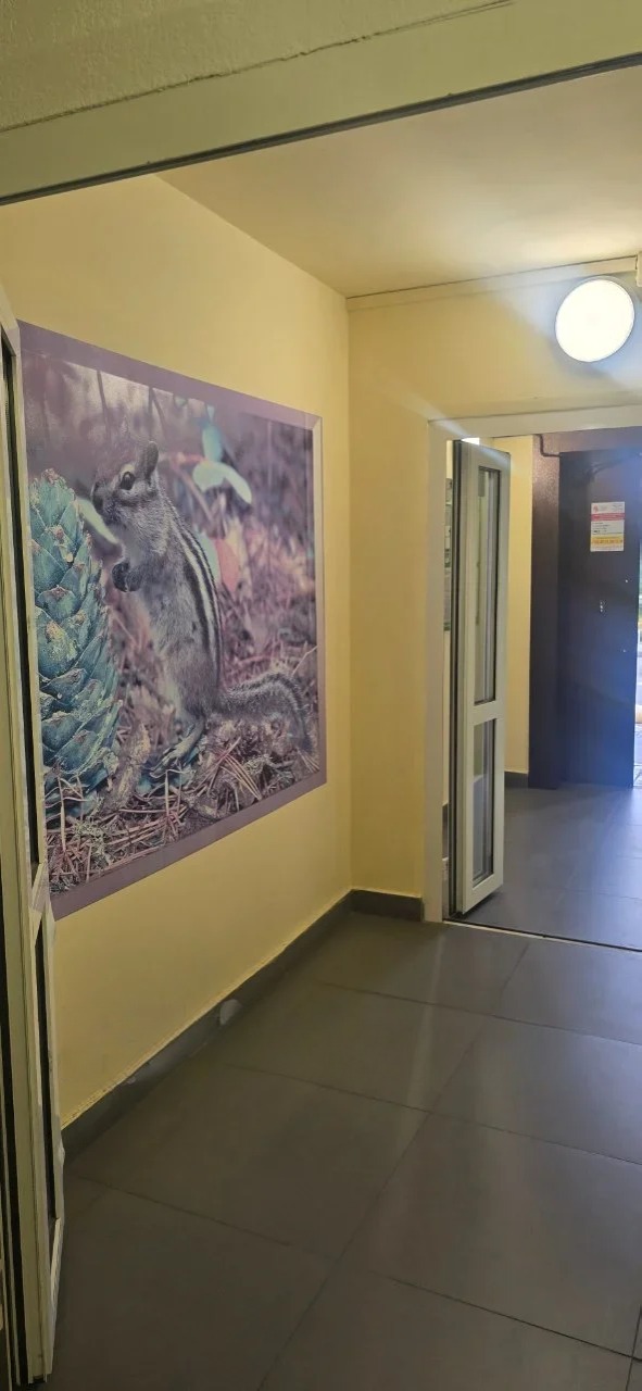 Квартира, Хабаровск