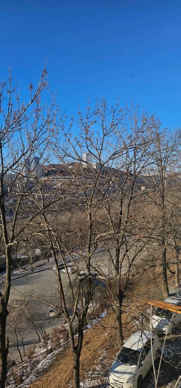 Квартира, Владивосток