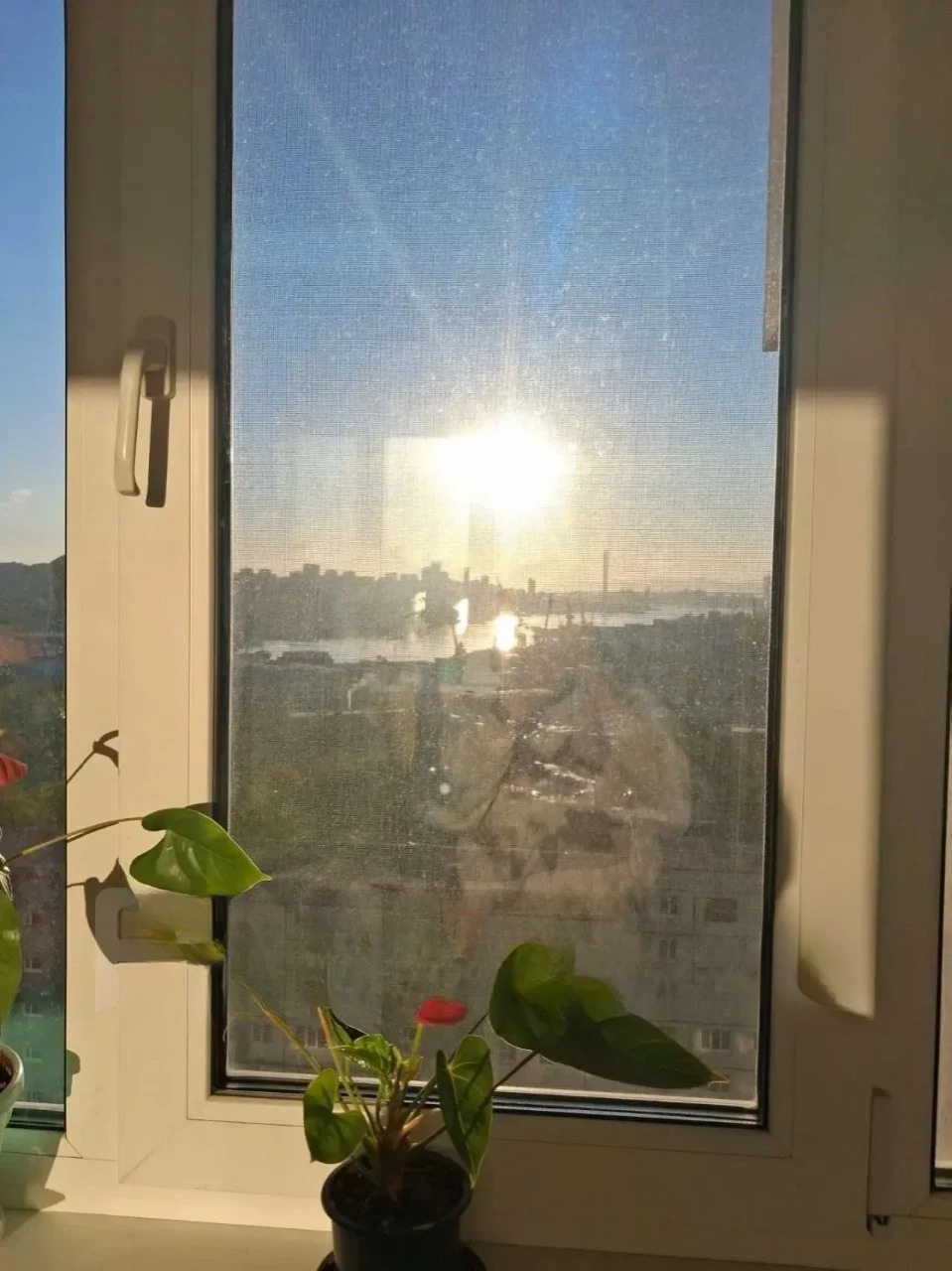Квартира, Владивосток