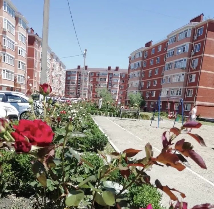 Квартира, Краснодар