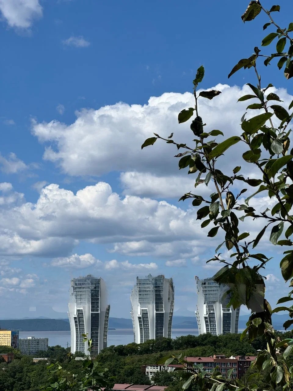Квартира, Владивосток