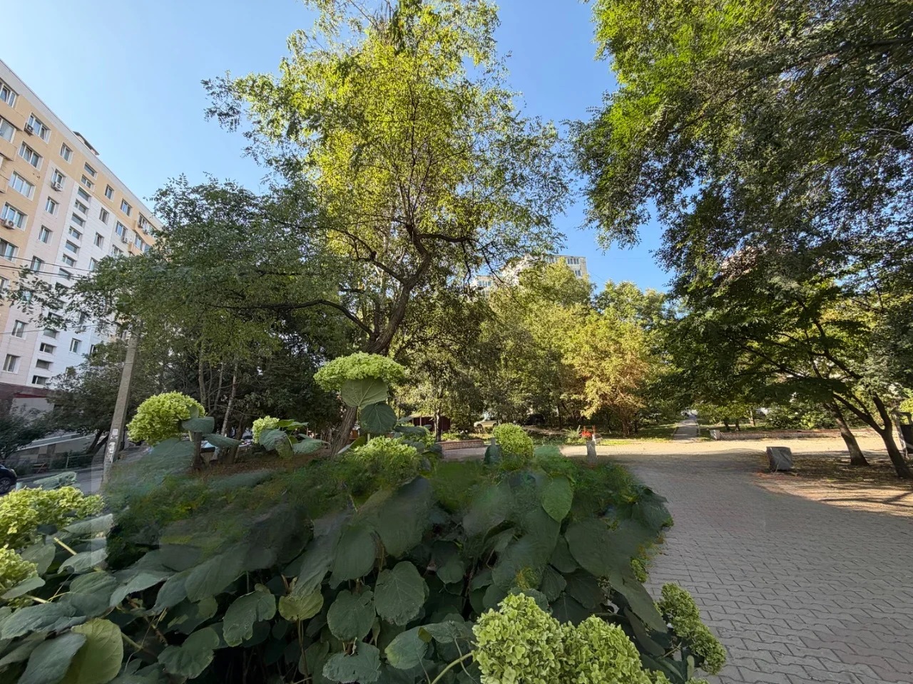 Квартира, Владивосток